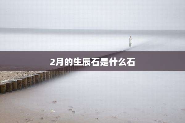 2月的生辰石是什么石