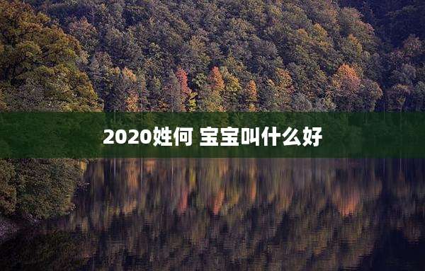 2020姓何 宝宝叫什么好
