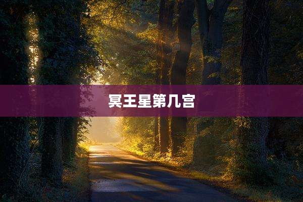 冥王星第几宫