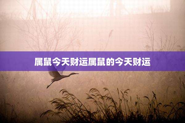 属鼠今天财运属鼠的今天财运