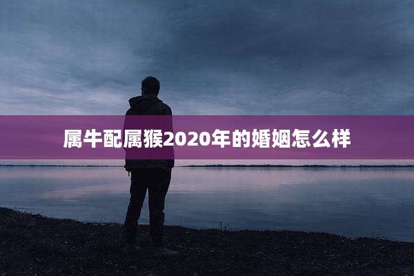 属牛配属猴2020年的婚姻怎么样