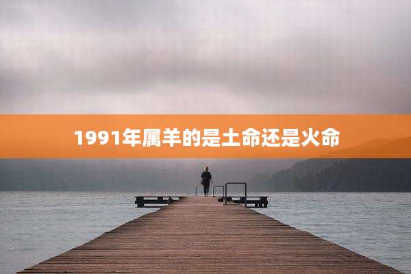 1991年属羊的是土命还是火命
