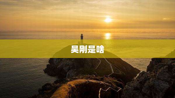 吴刚是啥