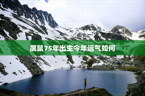 属鼠75年出生今年运气如何