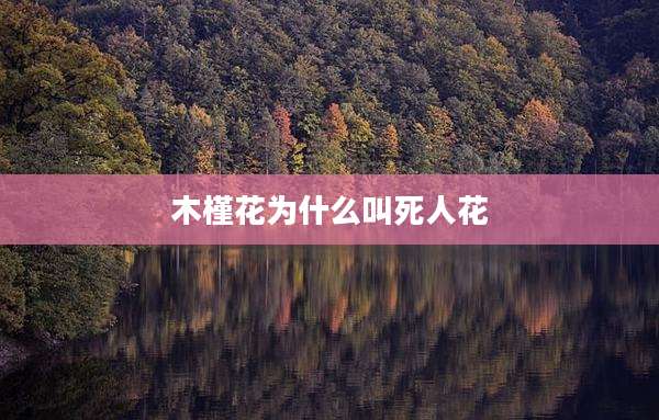 木槿花为什么叫死人花