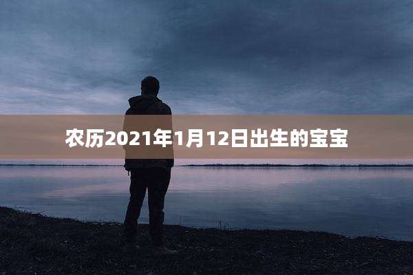 农历2021年1月12日出生的宝宝