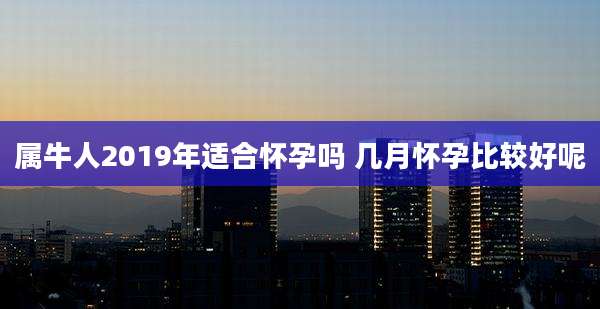 属牛人2019年适合怀孕吗 几月怀孕比较好呢
