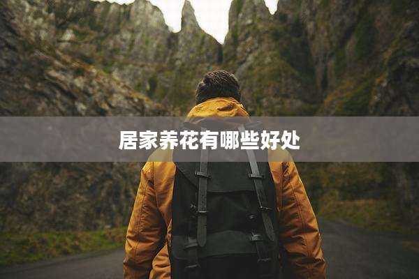 居家养花有哪些好处