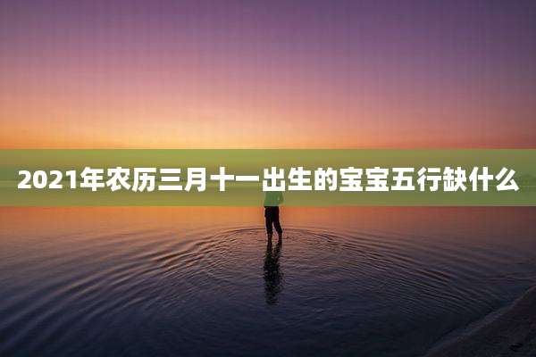 2021年农历三月十一出生的宝宝五行缺什么