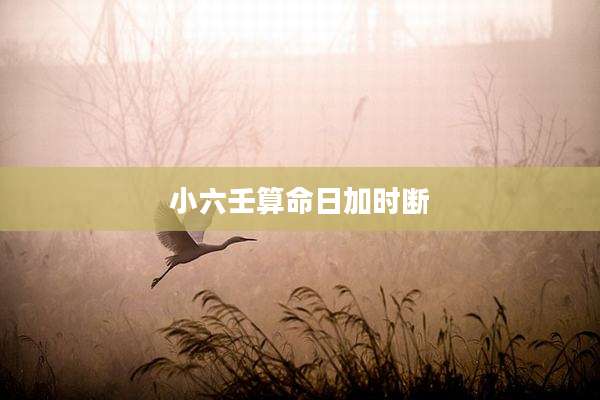 小六壬算命日加时断