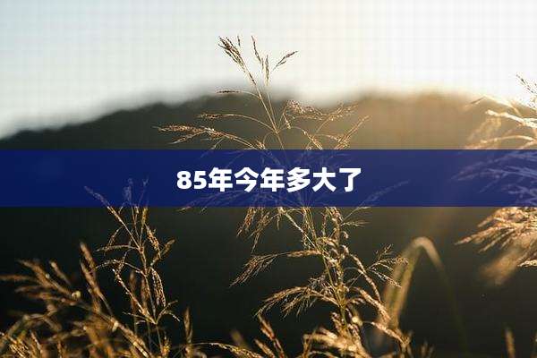 85年今年多大了