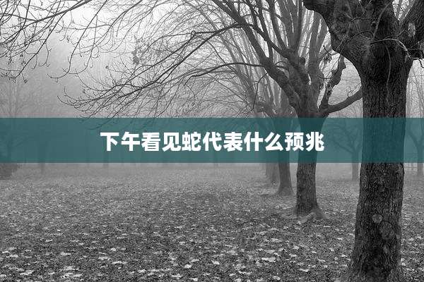 下午看见蛇代表什么预兆