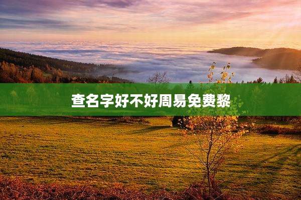 查名字好不好周易免费黎