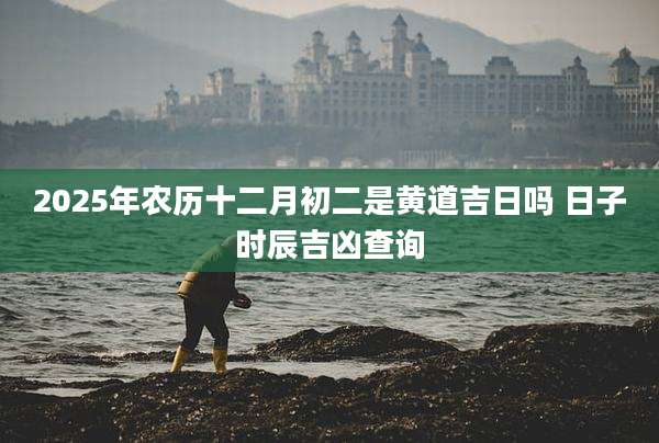 2025年农历十二月初二是黄道吉日吗 日子时辰吉凶查询