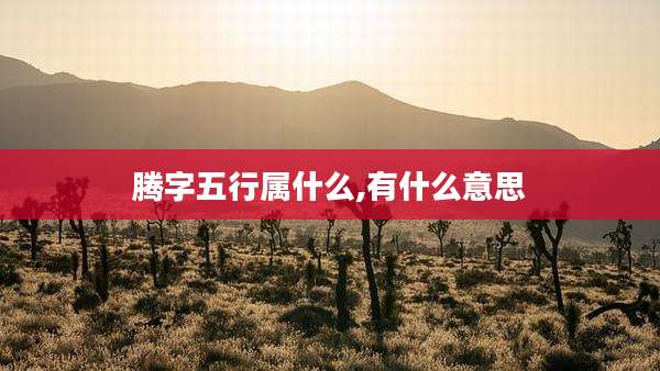 腾字五行属什么,有什么意思