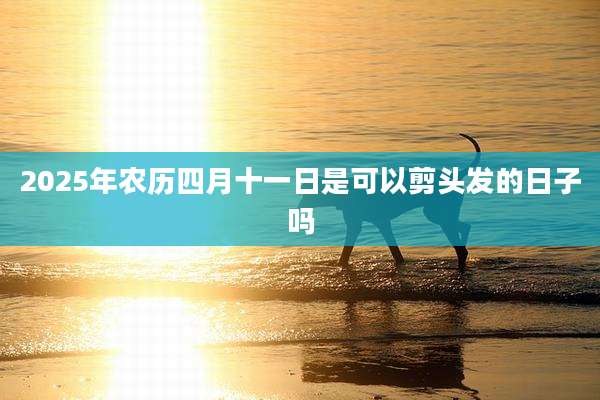 2025年农历四月十一日是可以剪头发的日子吗