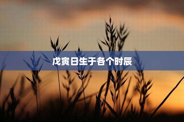 戊寅日生于各个时辰