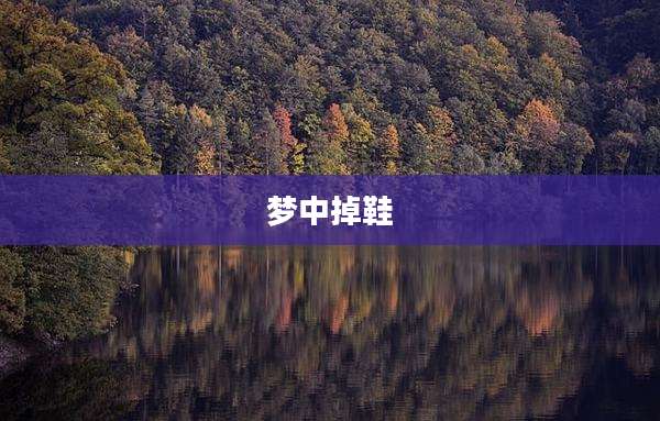 梦中掉鞋