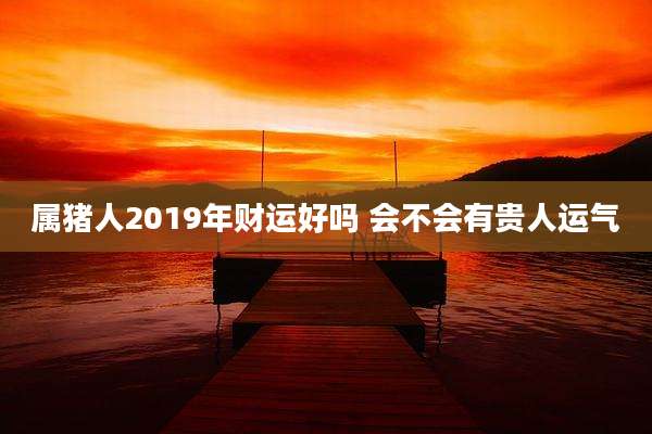 属猪人2019年财运好吗 会不会有贵人运气