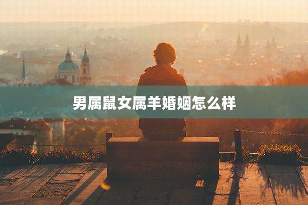 男属鼠女属羊婚姻怎么样