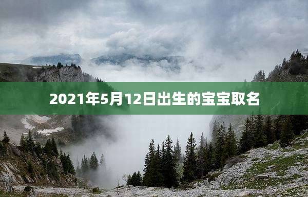 2021年5月12日出生的宝宝取名