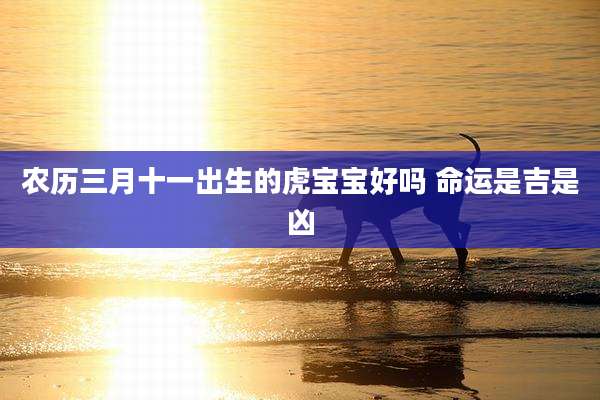 农历三月十一出生的虎宝宝好吗 命运是吉是凶