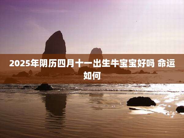 2025年阴历四月十一出生牛宝宝好吗 命运如何