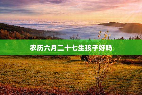 农历六月二十七生孩子好吗