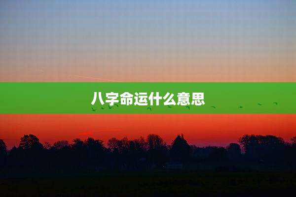 八字命运什么意思