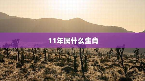 11年属什么生肖