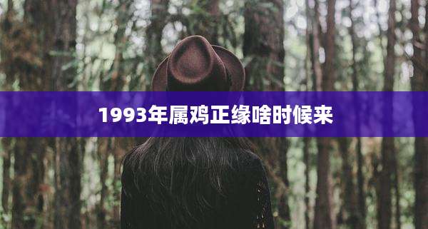 1993年属鸡正缘啥时候来