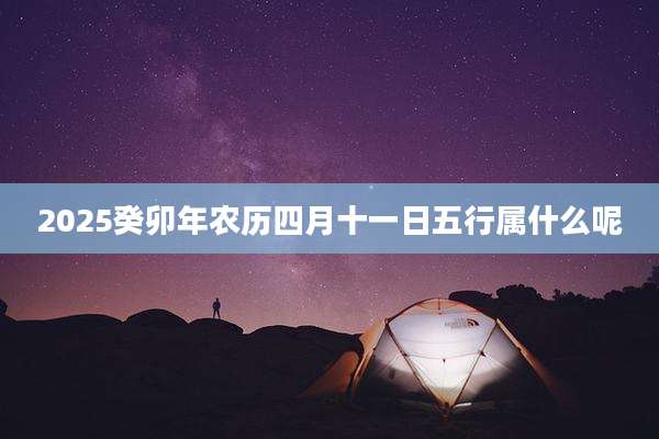 2025癸卯年农历四月十一日五行属什么呢