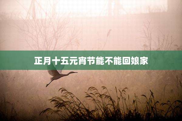 正月十五元宵节能不能回娘家