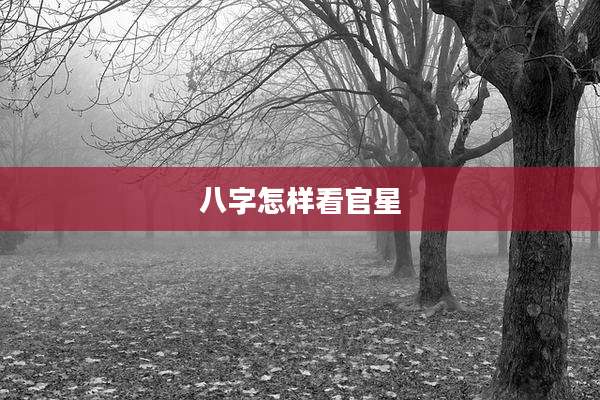 八字怎样看官星