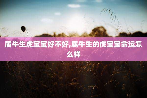 属牛生虎宝宝好不好,属牛生的虎宝宝命运怎么样