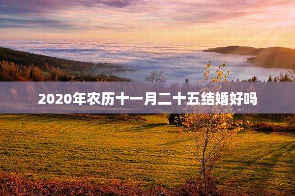2020年农历十一月二十五结婚好吗