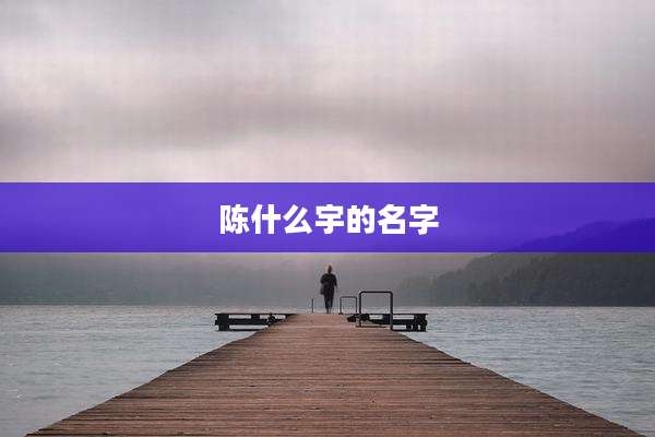 陈什么宇的名字