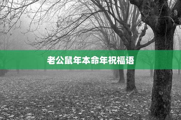 老公鼠年本命年祝福语
