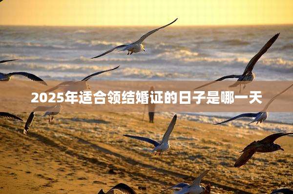 2025年适合领结婚证的日子是哪一天