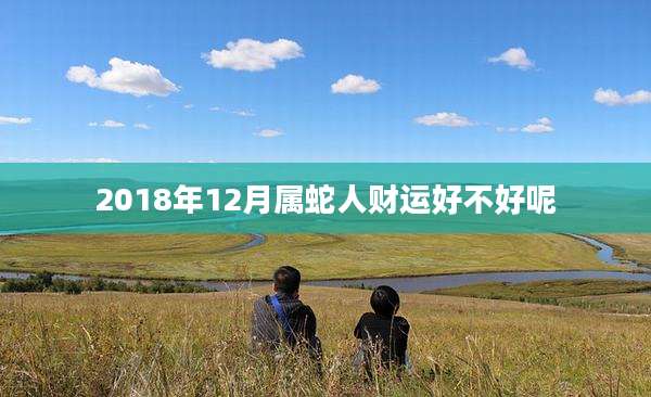2018年12月属蛇人财运好不好呢