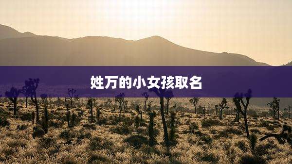 姓万的小女孩取名