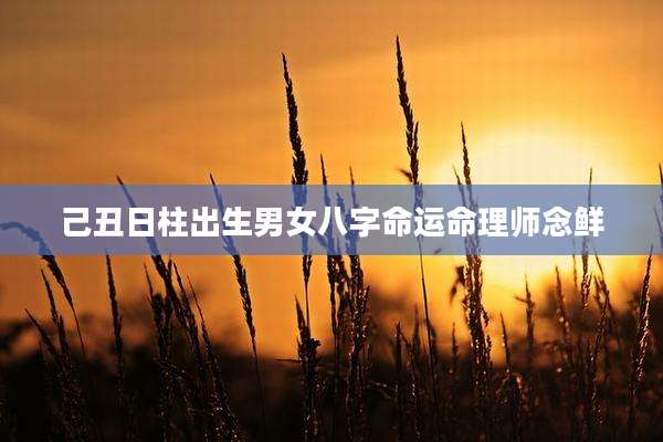 己丑日柱出生男女八字命运命理师念鲜