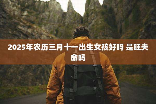 2025年农历三月十一出生女孩好吗 是旺夫命吗
