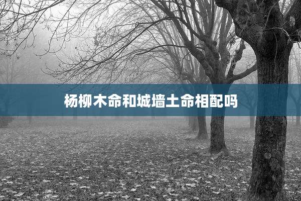 杨柳木命和城墙土命相配吗
