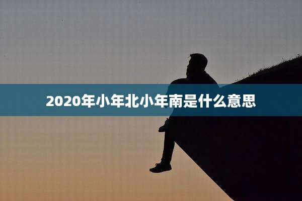 2020年小年北小年南是什么意思
