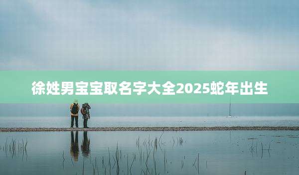 徐姓男宝宝取名字大全2025蛇年出生