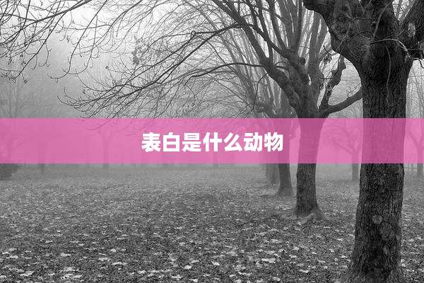 表白是什么动物