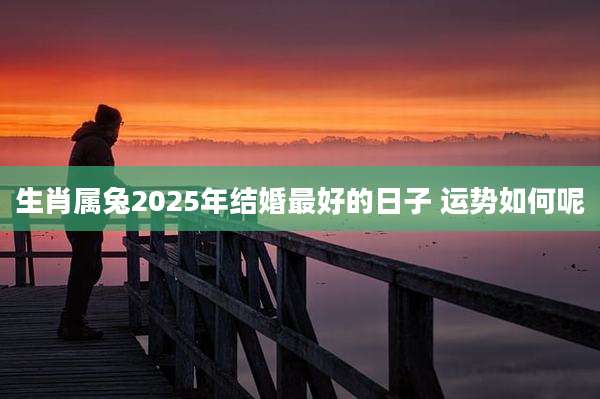 生肖属兔2025年结婚最好的日子 运势如何呢