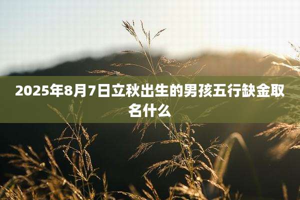 2025年8月7日立秋出生的男孩五行缺金取名什么