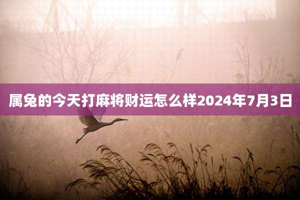 属兔的今天打麻将财运怎么样2024年7月3日